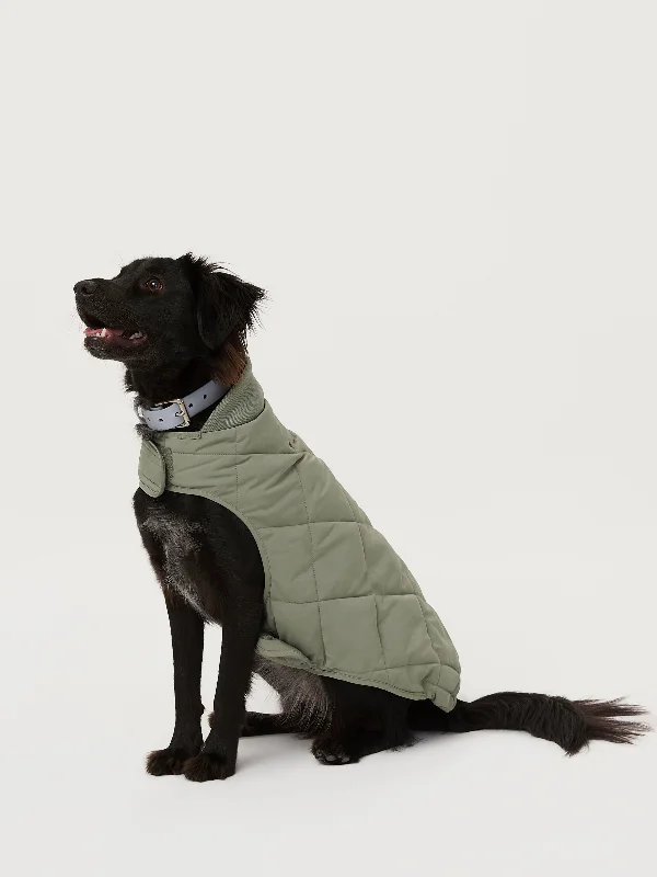 Women's Chunky Knit SweatersThe Skyline Dog Jacket in Vetiver Green